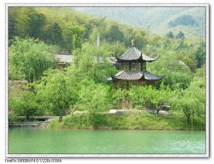 杨墩村