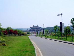 合肥滨湖湿地森林公园风景