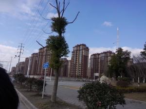 竹行镇（街道）