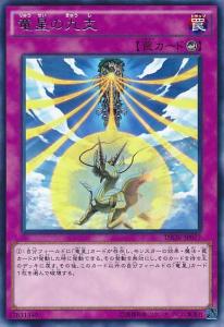 龙星的九支