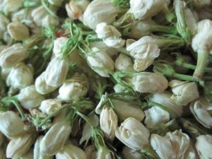 双瓣茉莉-制茶