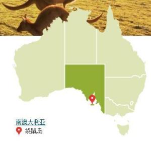 袋鼠岛地理方位示意图