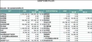 �ʲ���ծ��