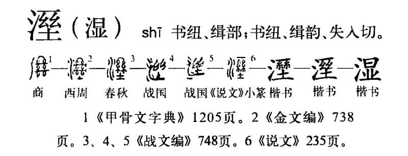 【甲组】“溼”演变流程图