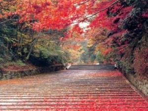 栖霞风景区