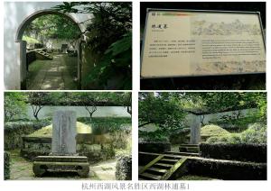 林逋