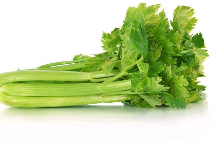 西芹 搜狗百科 西芹 搜狗百科