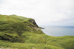 夏日，被各种高山植被覆盖的礼文岛