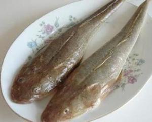 鲬)是牛尾鱼科孔鲬属动物,在中国主要分布于沿海地区,也见于朝鲜,日本