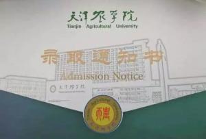 校园景色