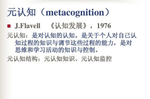 元认知策略