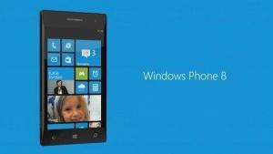 wp8