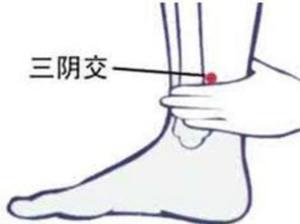 三阴交