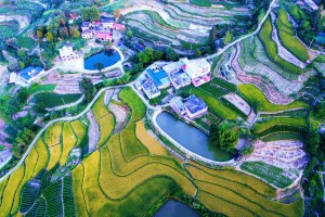商城县