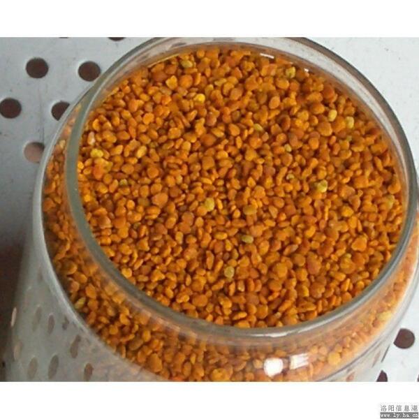 油菜花粉 蜂花粉种类 搜狗百科