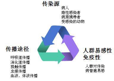新型冠状病毒传播途径