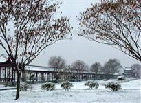 纵湖雪景