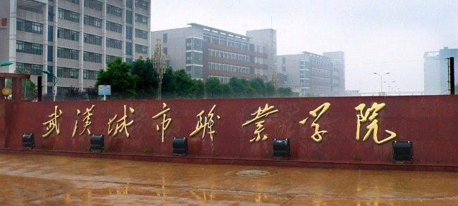 武汉城市职业学院