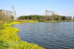 吕坡河