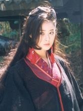 木婉清影视形象