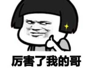 厉害了我的哥