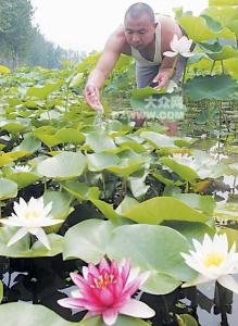 遥墙镇图册