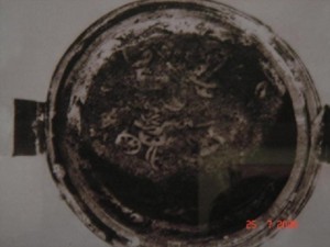 马王堆出土莲藕片