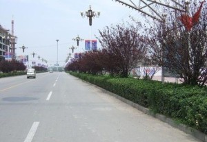 郸城县