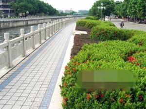 赤坎区图册