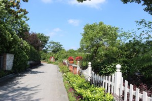 上海至尊园静园公墓_园区道路_上海墓地