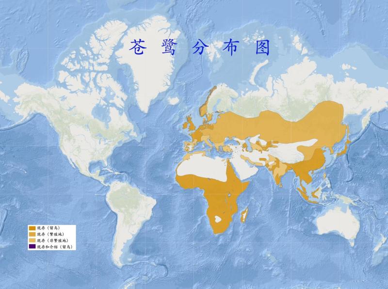 苍鹭分布图