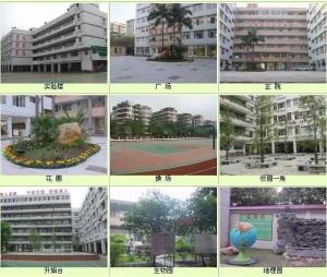 汾江中学图册