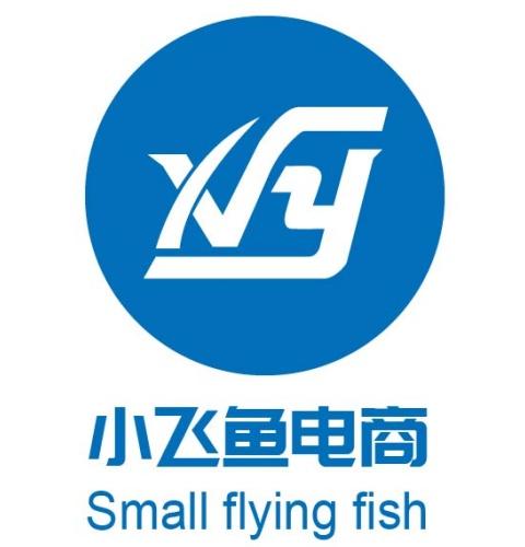 飞鱼科技 百科 0