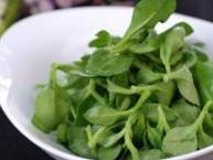 冰菜