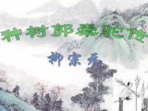 种树郭橐驼传