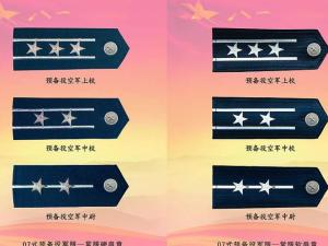 预备役军衔