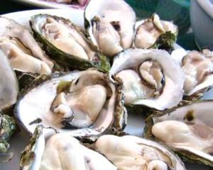 生牡蛎 搜狗百科 生牡蛎 搜狗百科