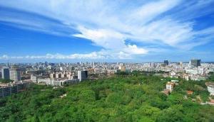 森林城市景观