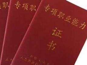 职业能力