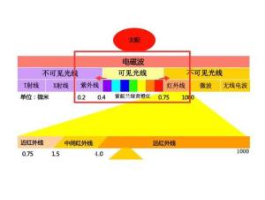 可见光
