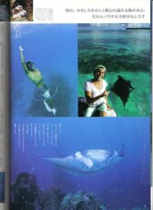 坂口宪二图册