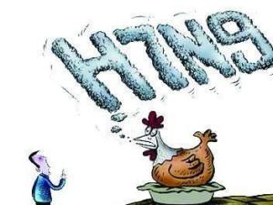 H7N9