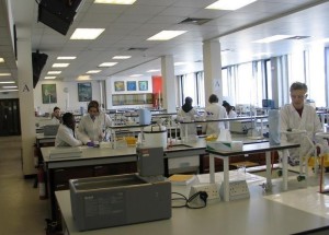 南京大学金陵学院