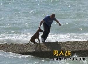 虐狗男图册