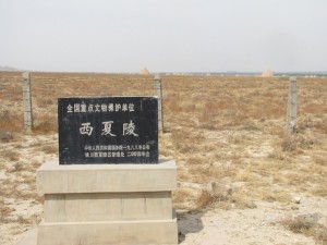 研究保护