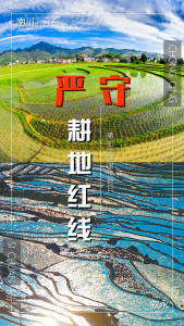 全国土地日