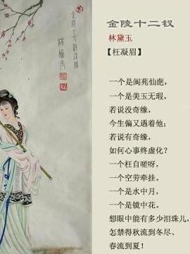 枉凝眉