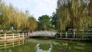 平果县文化公园图册