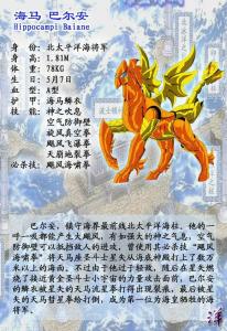 海马拜昂