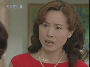 天地有情截图